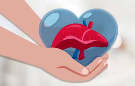 Things you need to know about liver donation