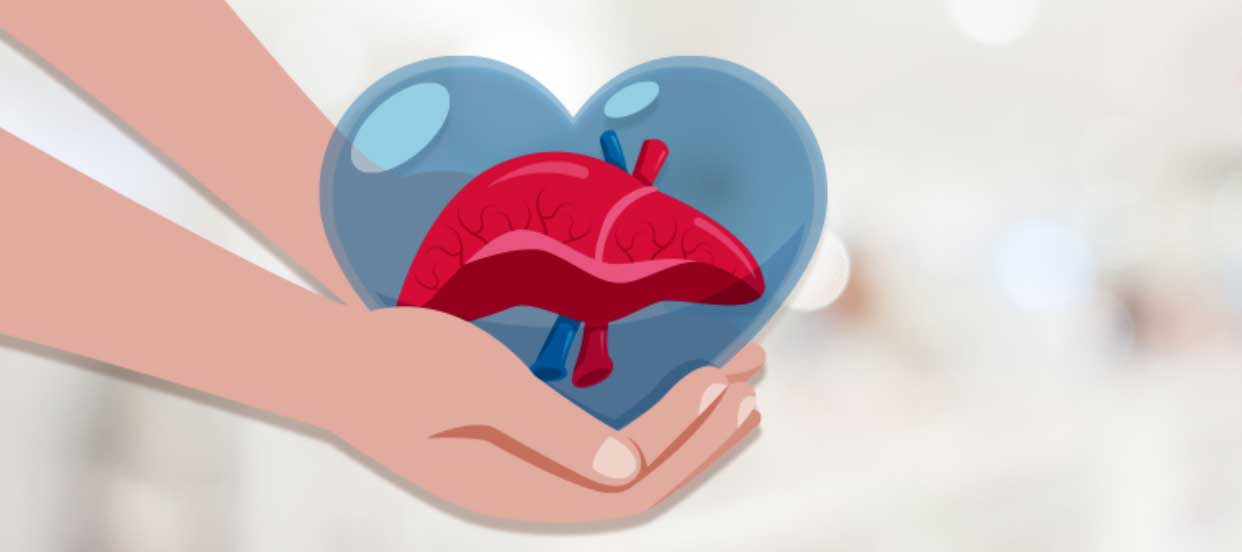 8 things you need to know about liver donation